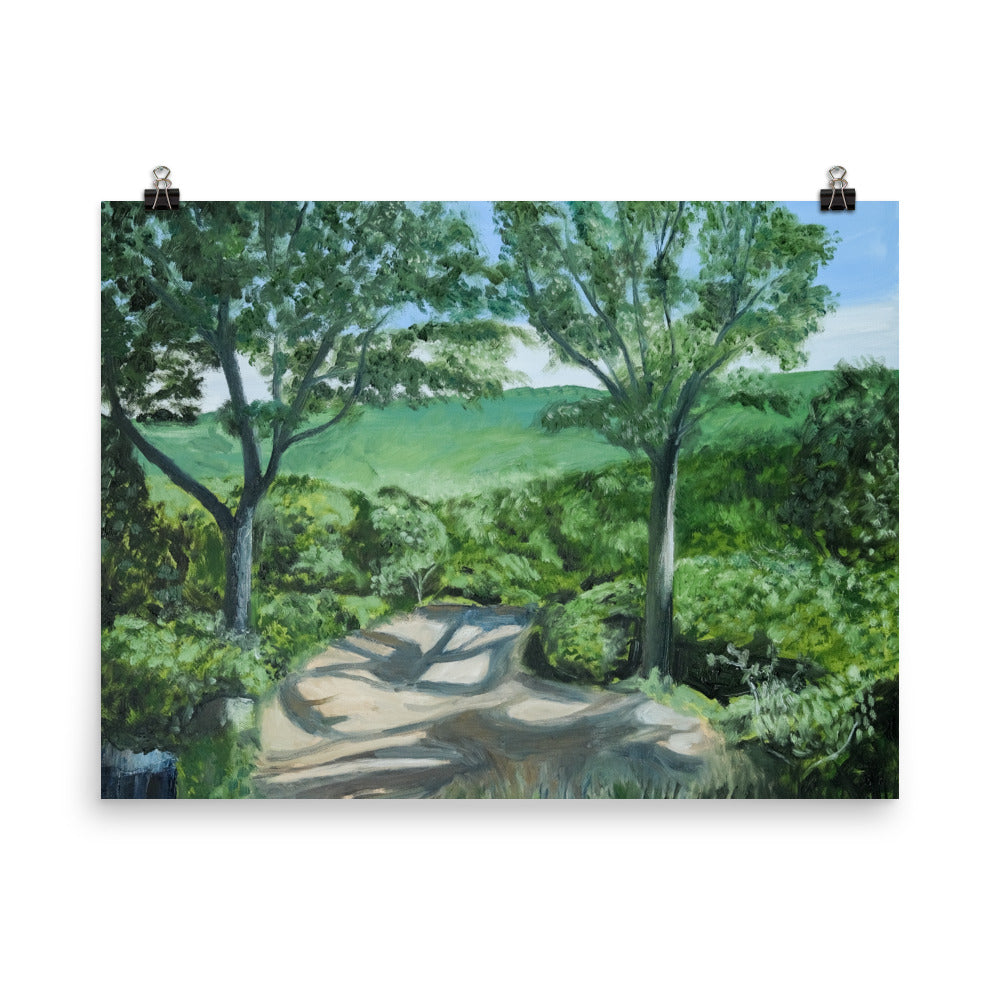Landscape 27