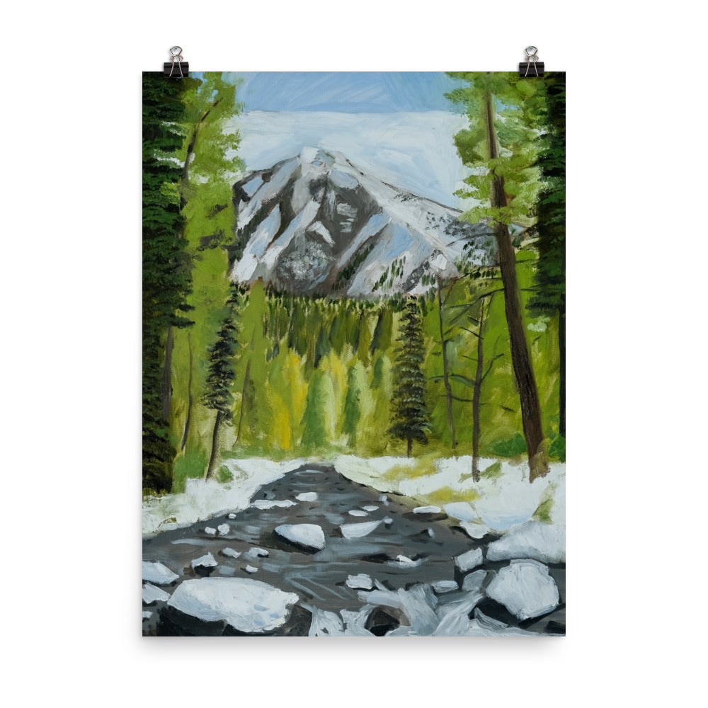 Landscape 29