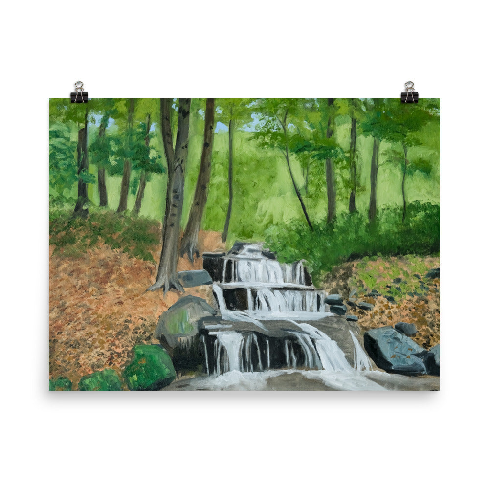 Landscape 31