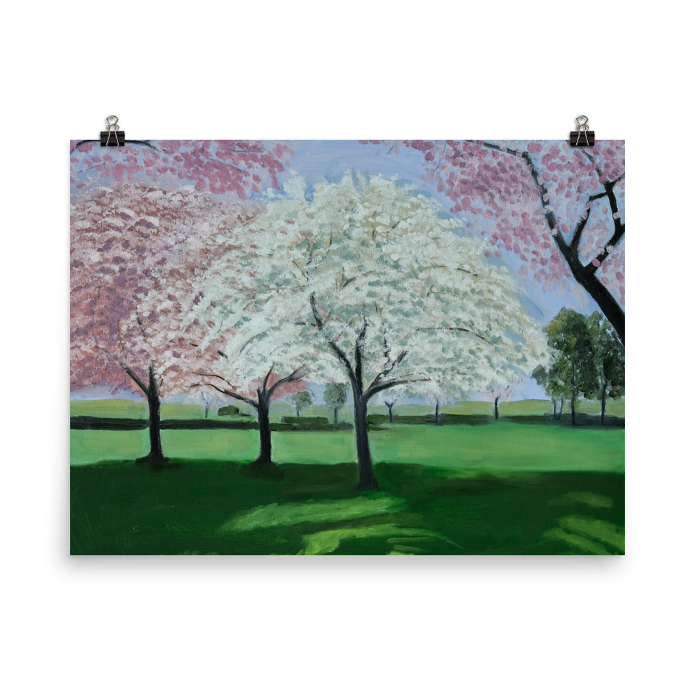 Landscape 33