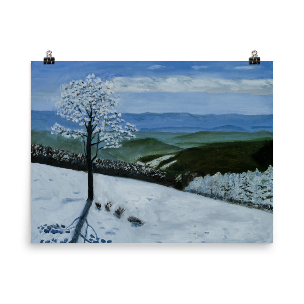 Landscape 34