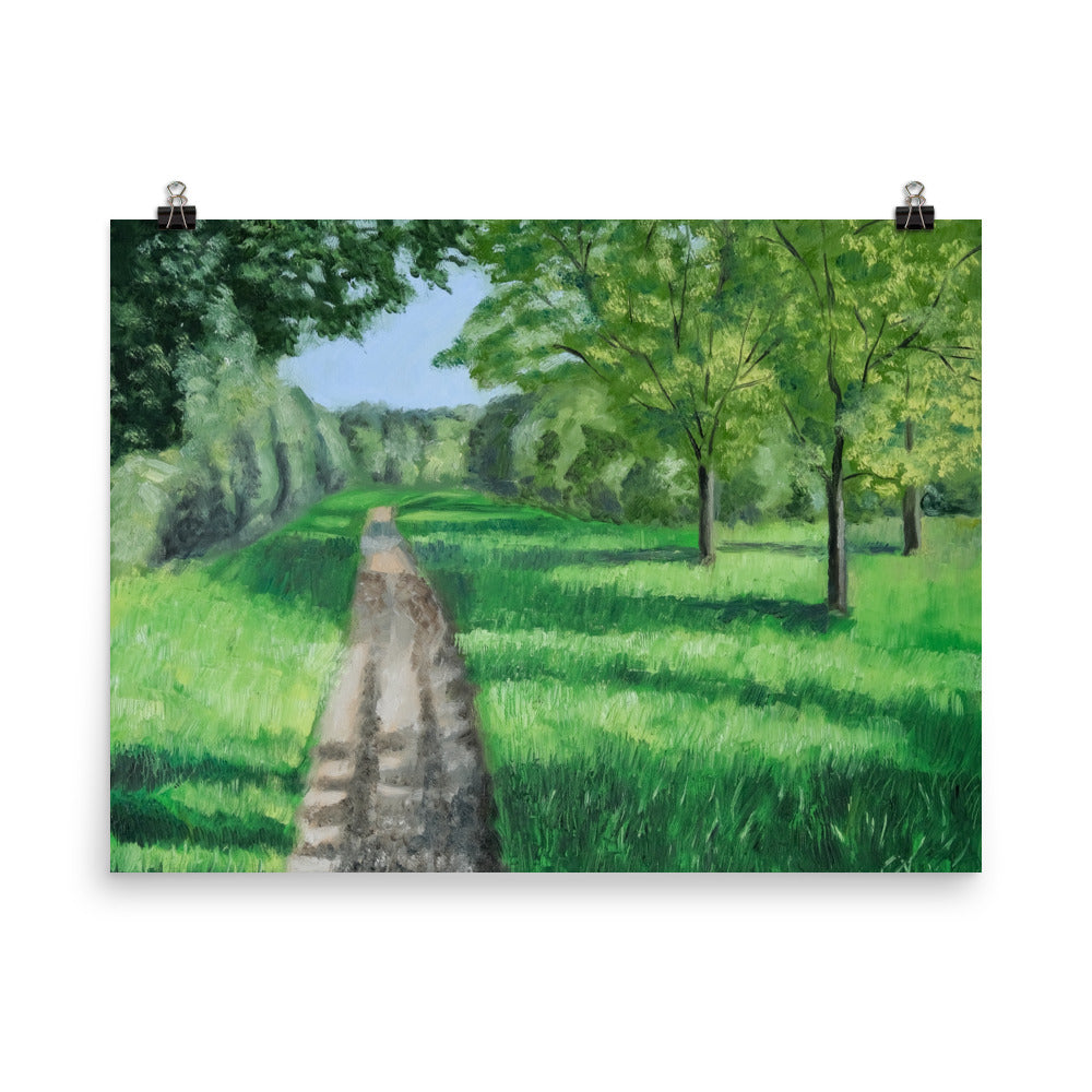 Landscape 39