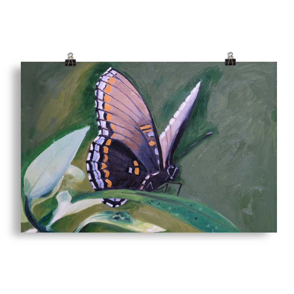 Monarch butterfly