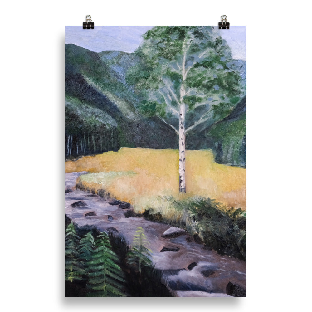 Birch tree and stream