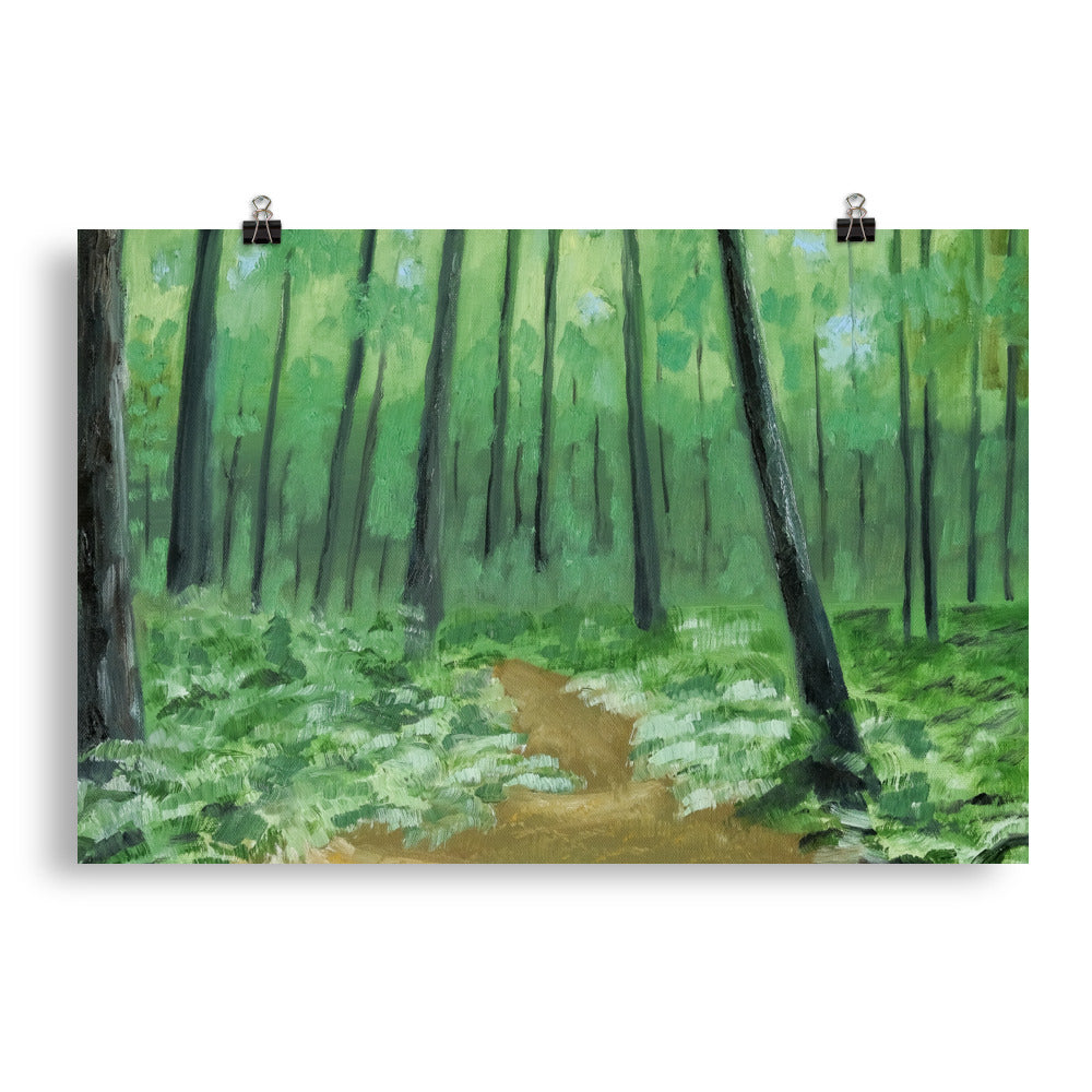 Landscape 3