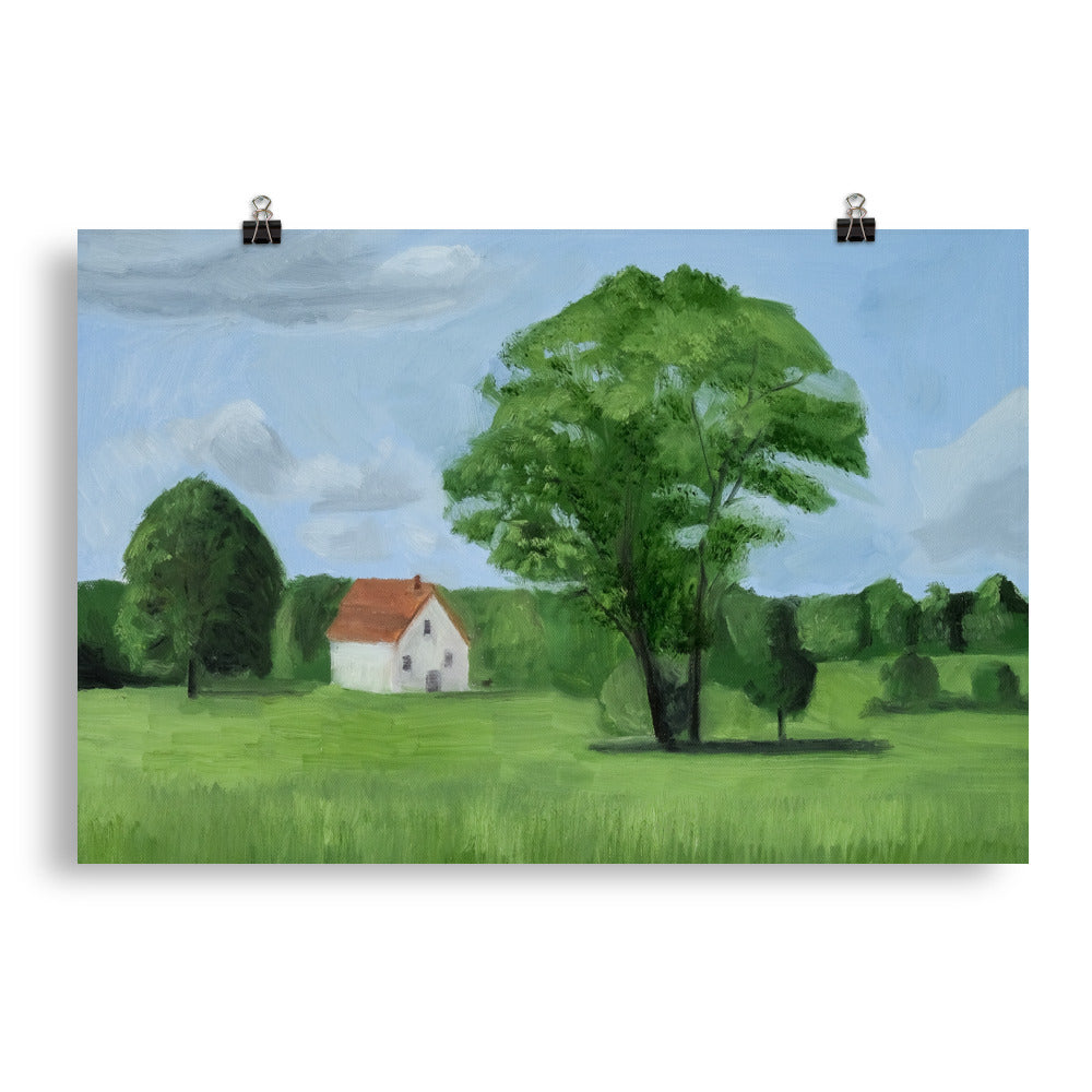 Landscape 17