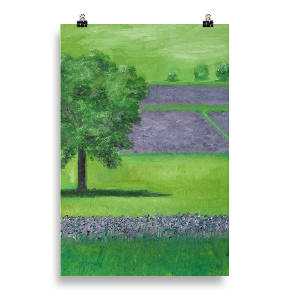 Landscape 19
