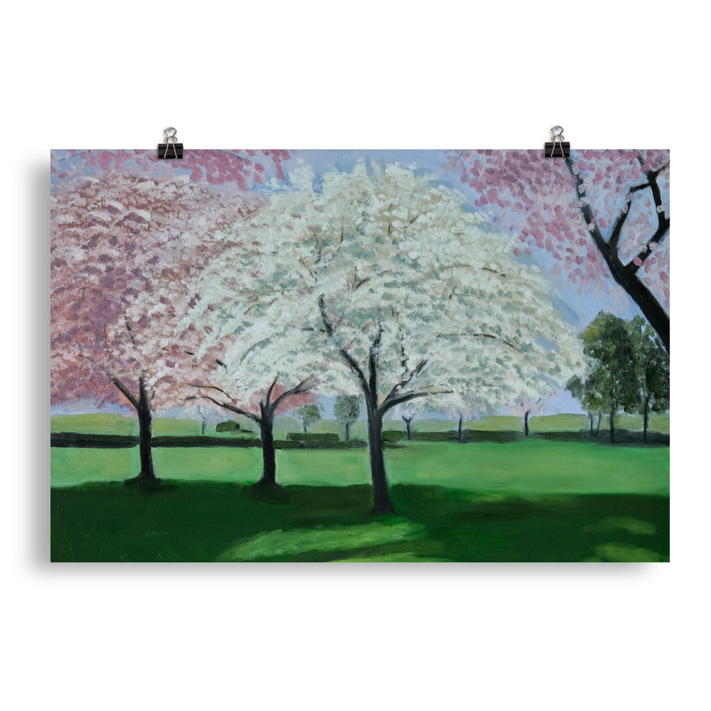 Landscape 33