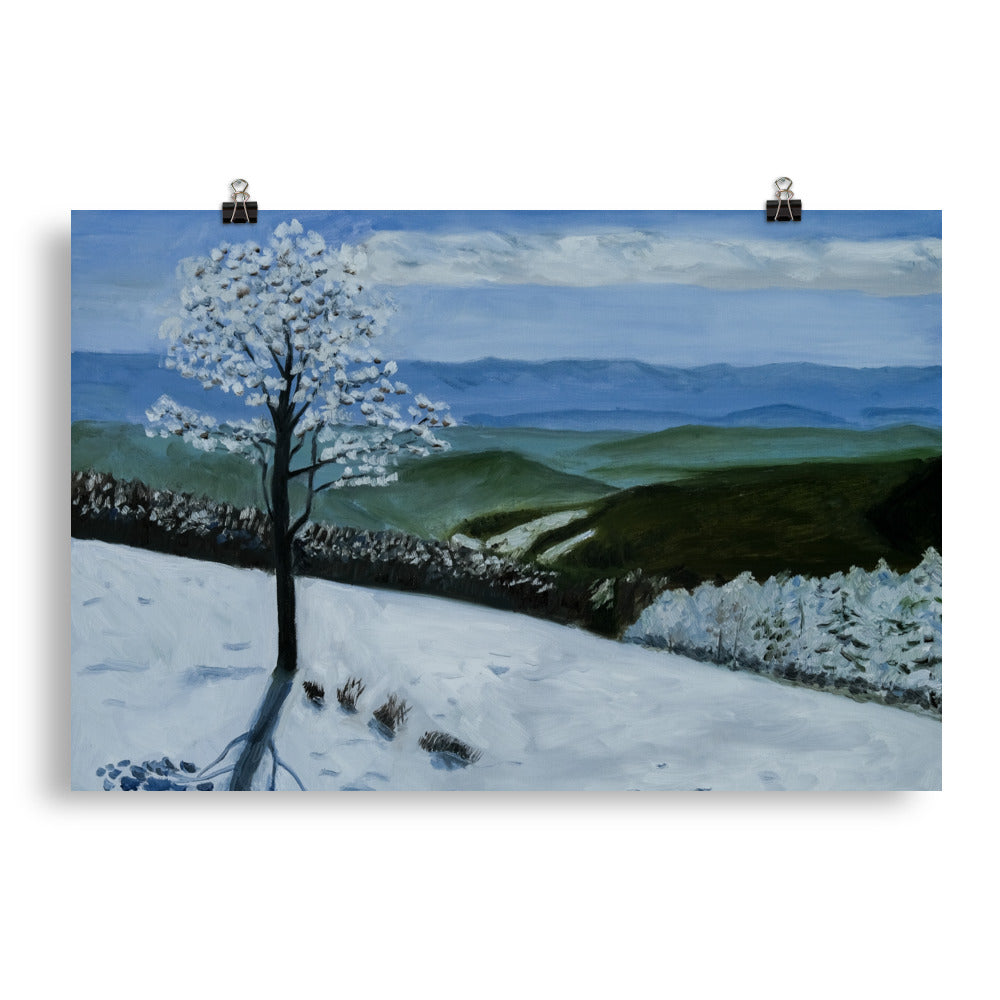 Landscape 34