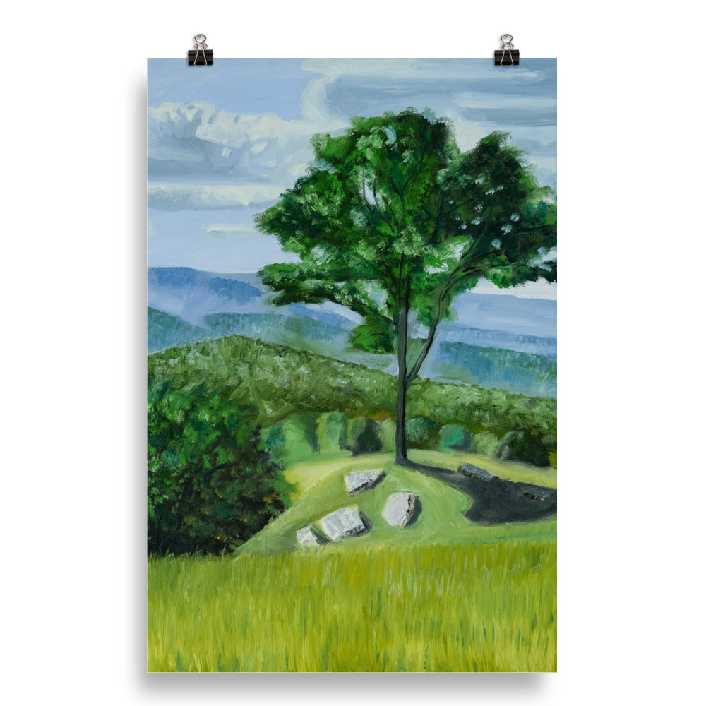 Landscape 36