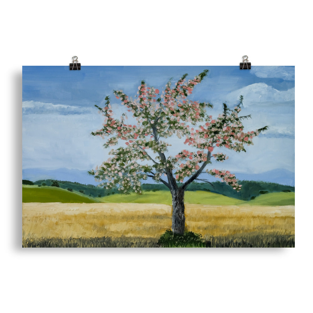 Landscape 38