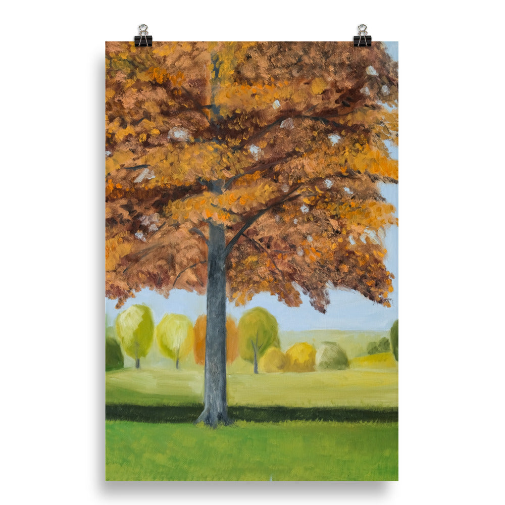 Landscape 41