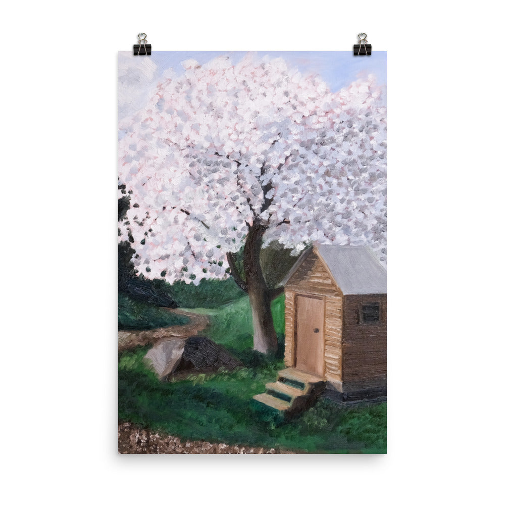 Cherry tree and outhouse