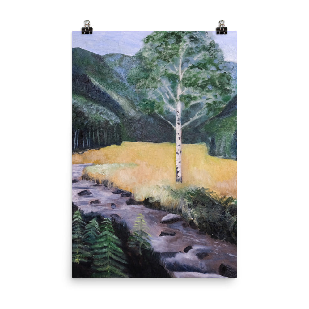 Birch tree and stream