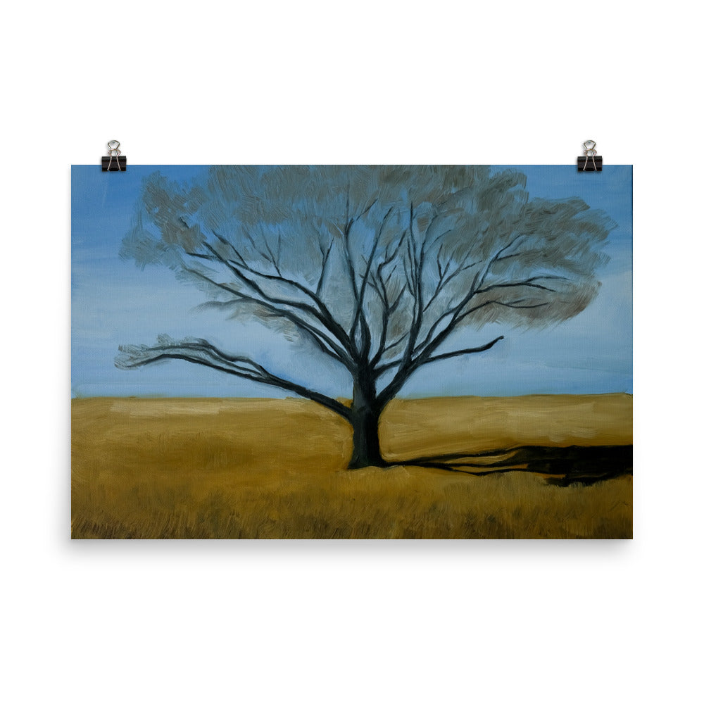 Landscape 2