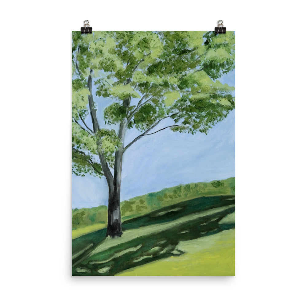 Landscape 10
