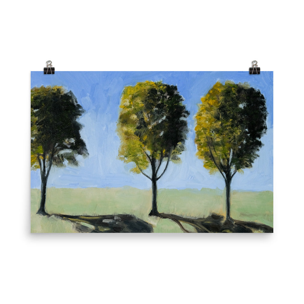 Landscape 14