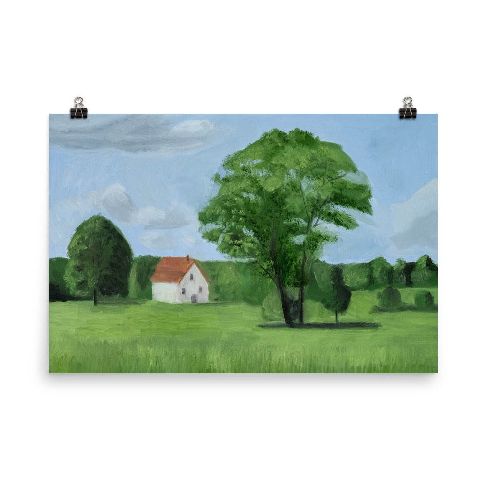 Landscape 17