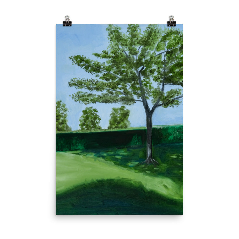 Landscape 28