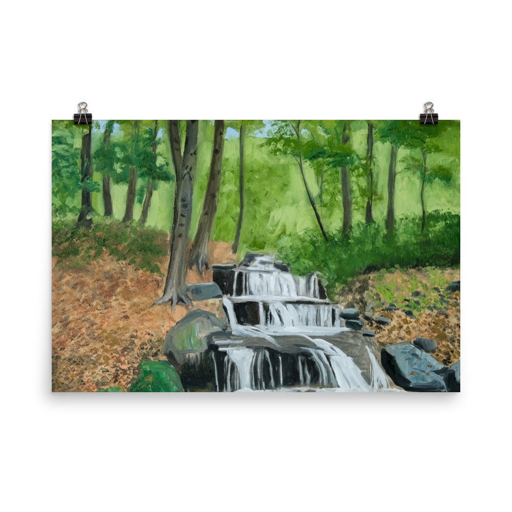 Landscape 31