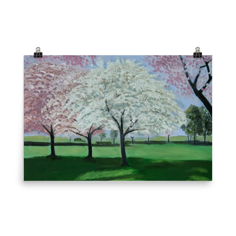 Landscape 33