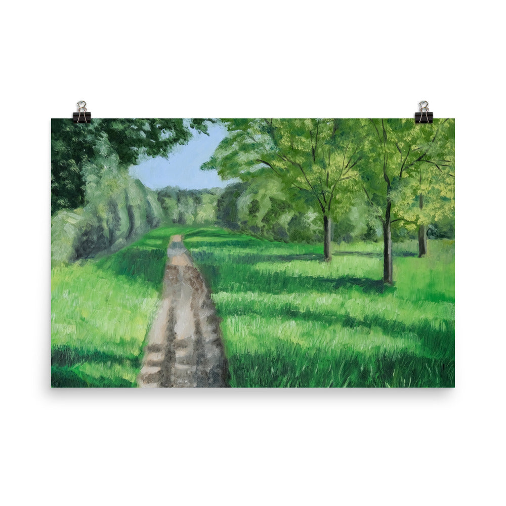 Landscape 39