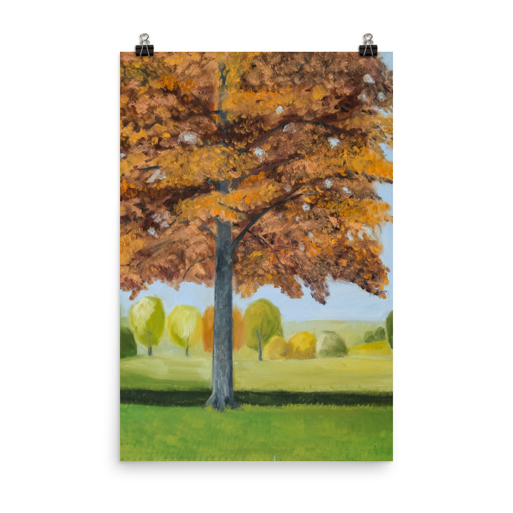 Landscape 41