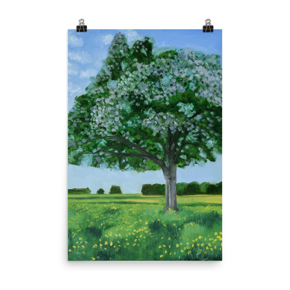 Landscape 42