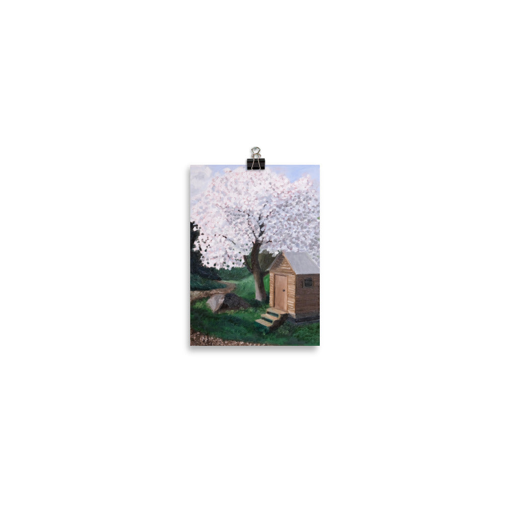 Cherry tree and outhouse