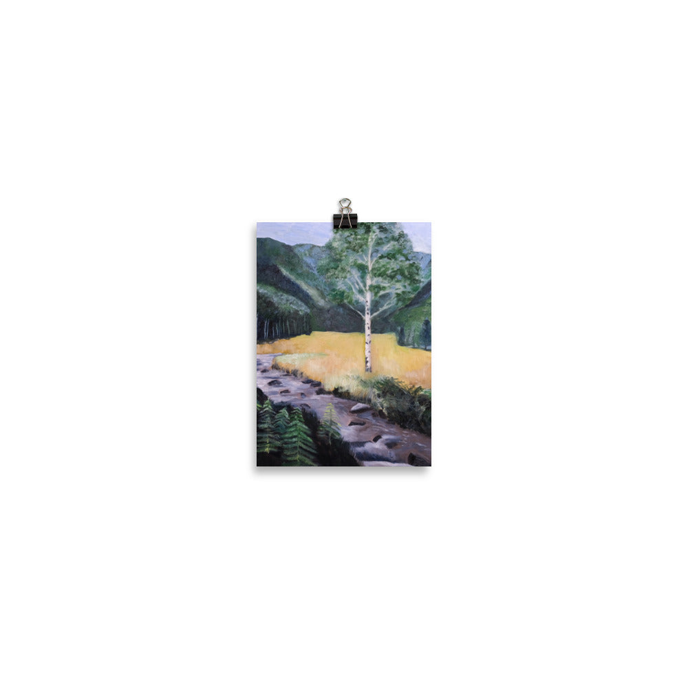 Birch tree and stream