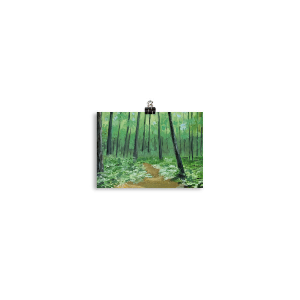 Landscape 3