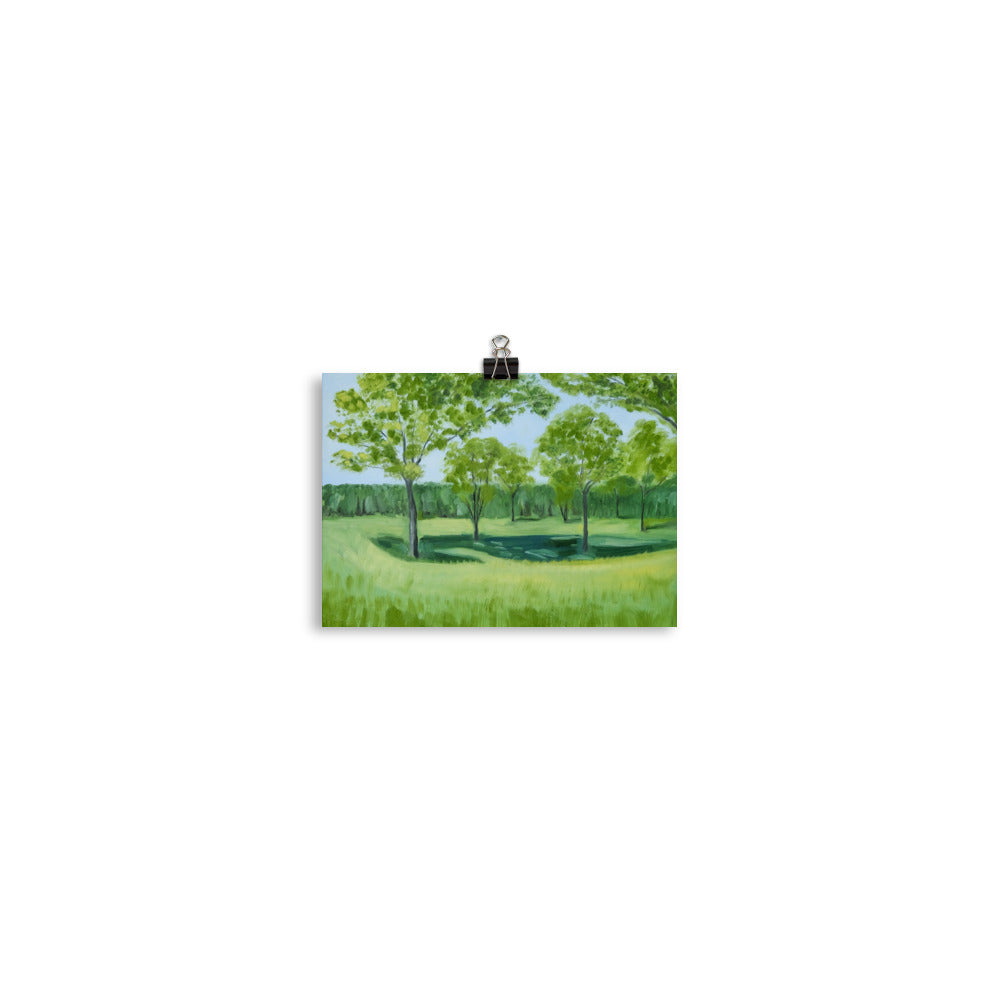 Landscape 4