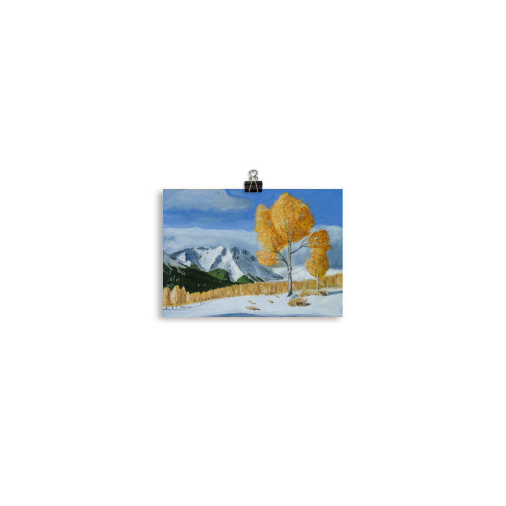 Landscape 13