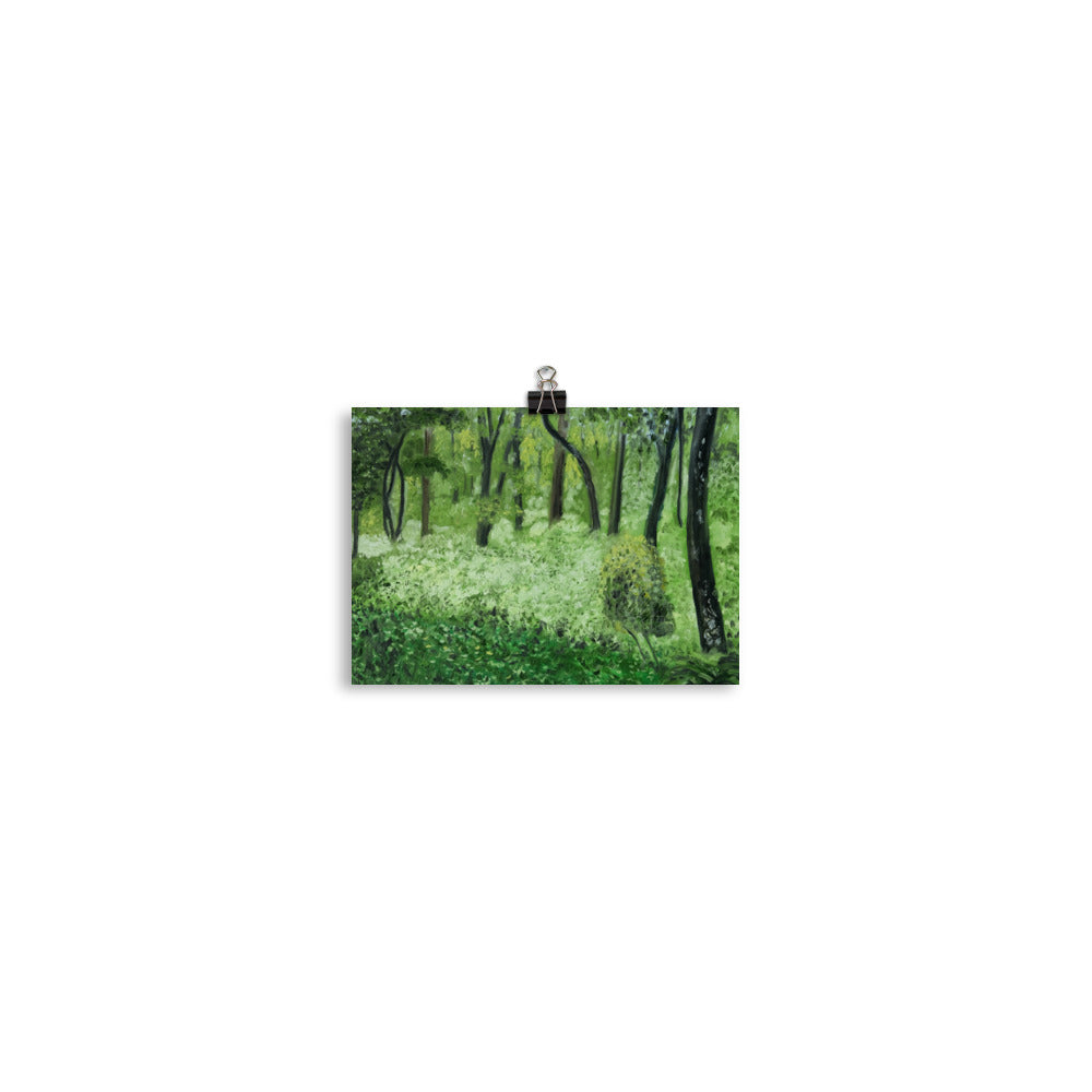 Landscape 24
