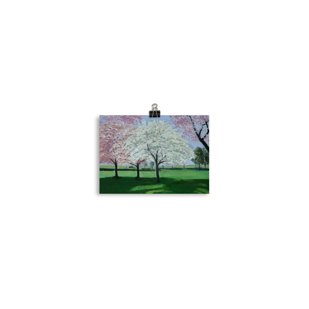 Landscape 33