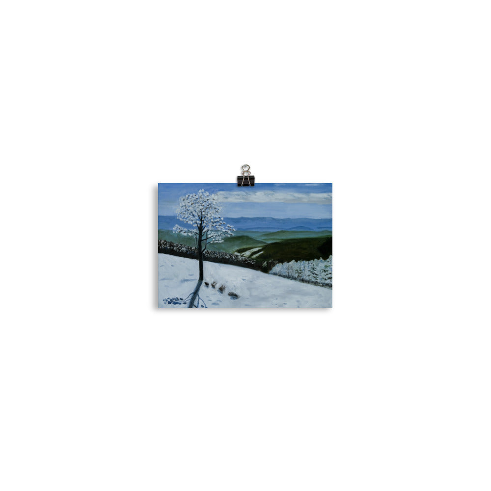 Landscape 34