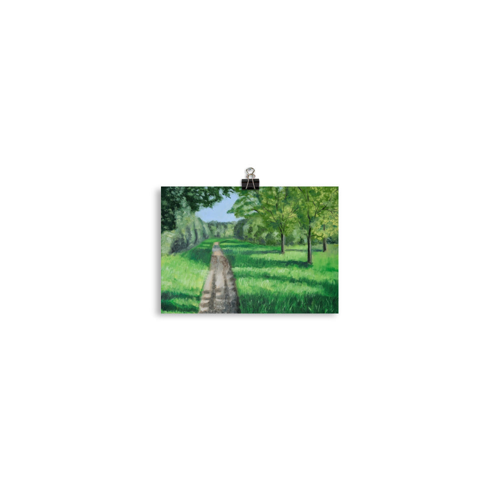 Landscape 39