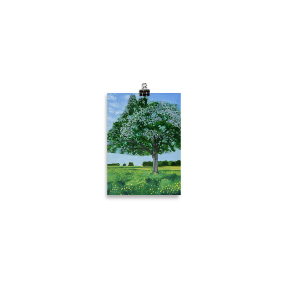Landscape 42