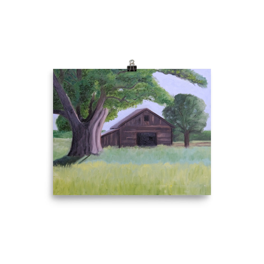 Oak tree and barn