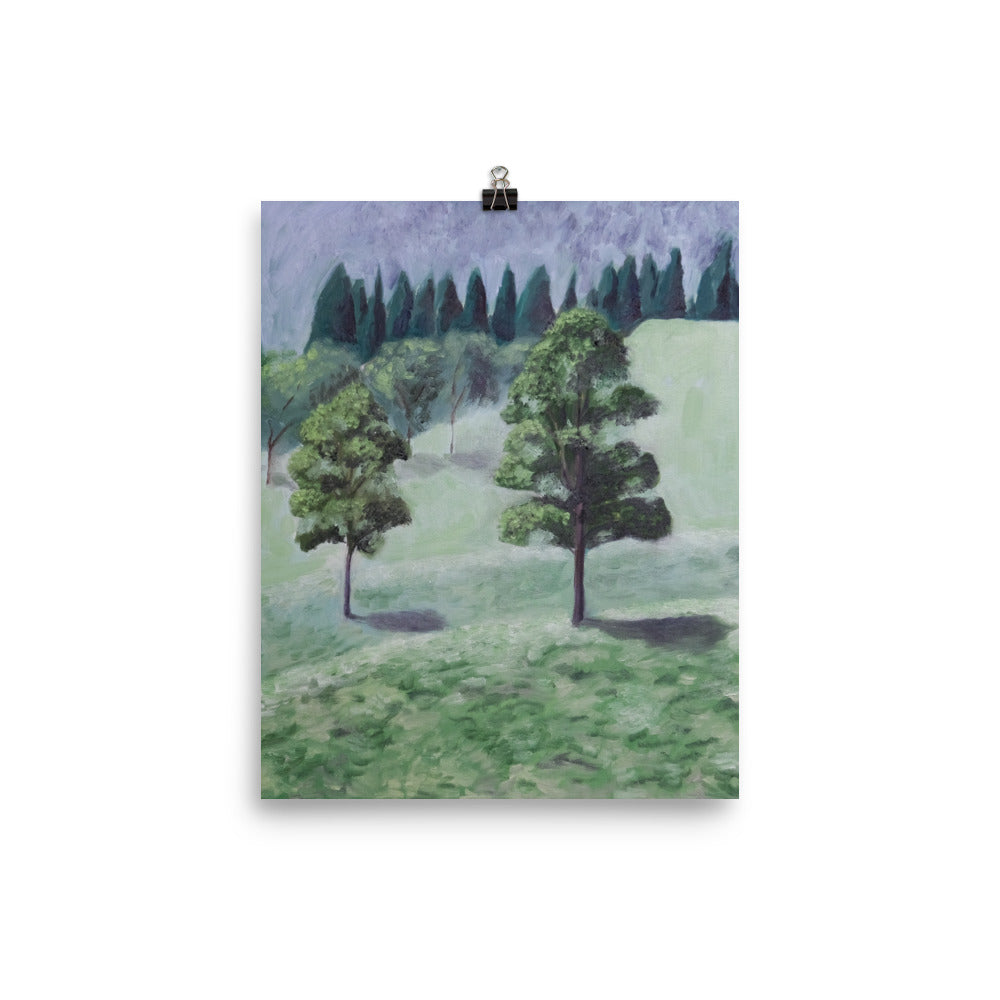 Hickory trees
