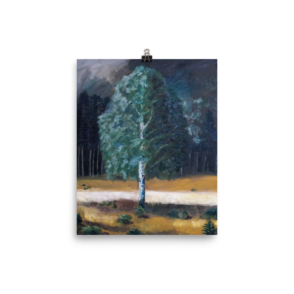 Birch tree