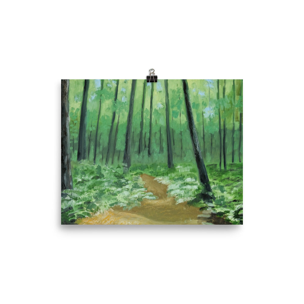 Landscape 3