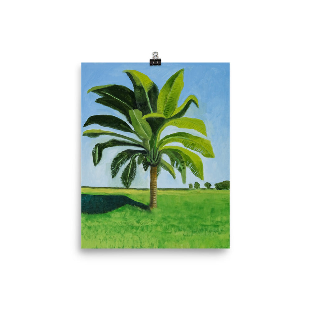 Landscape 8