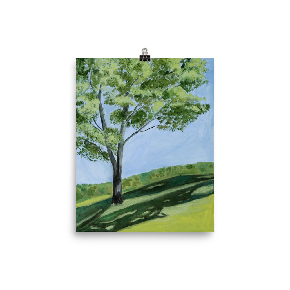 Landscape 10