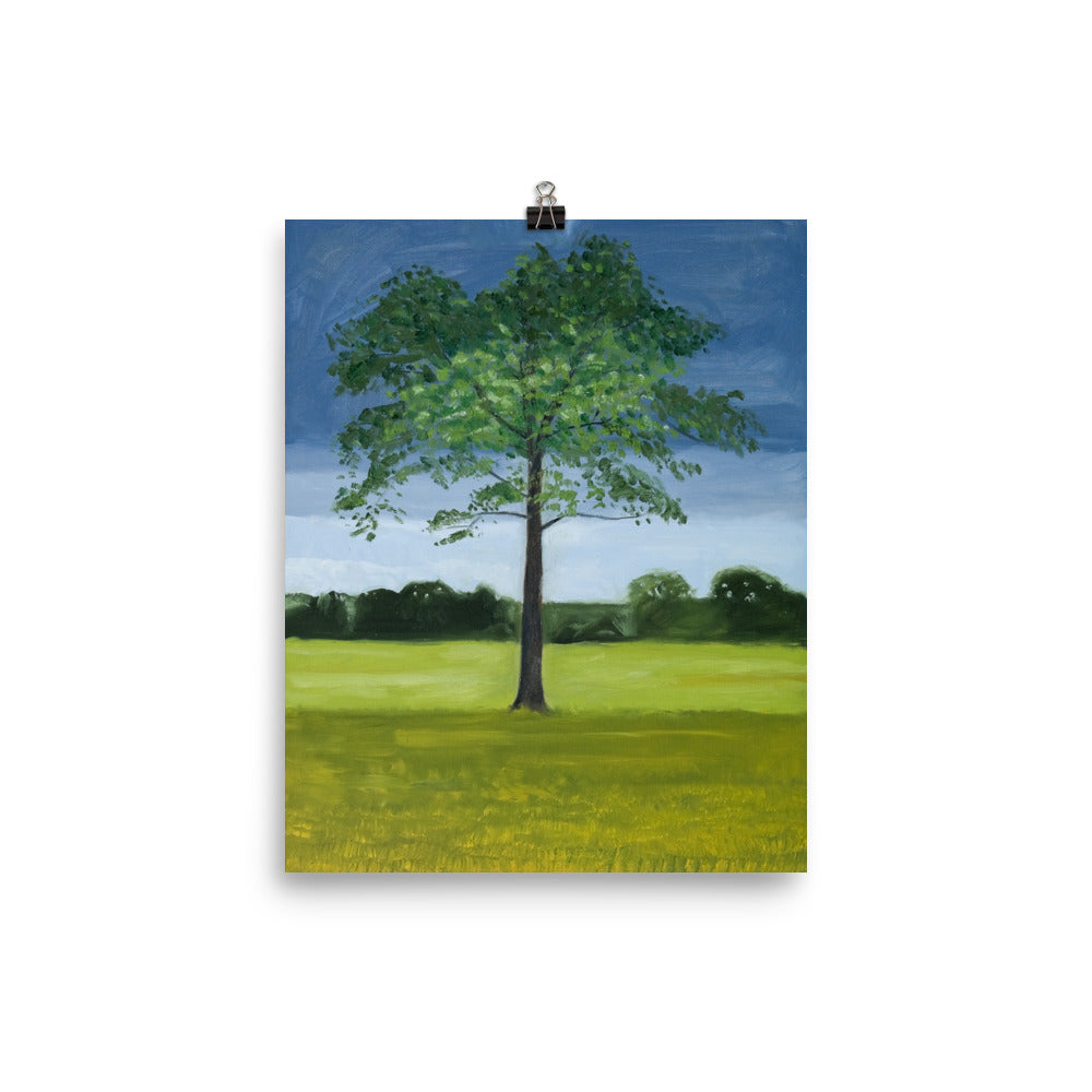Landscape 12