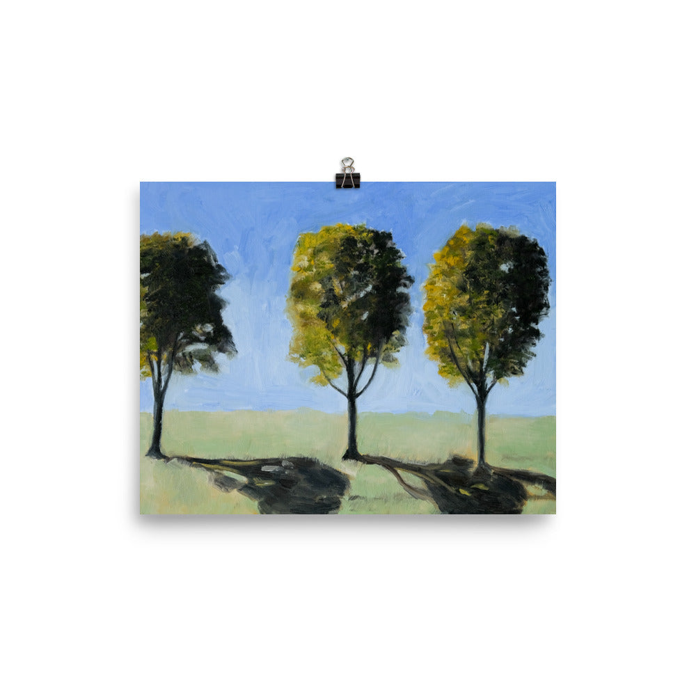 Landscape 14