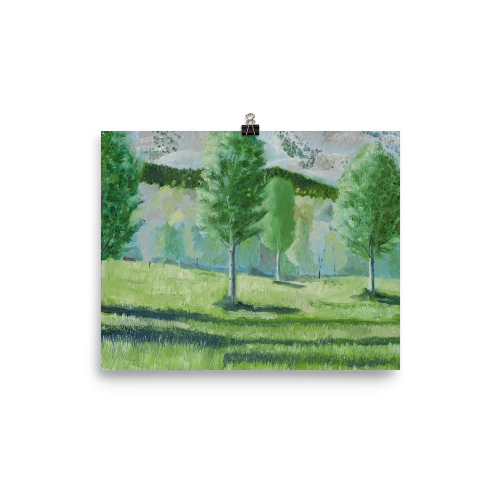 Landscape 16