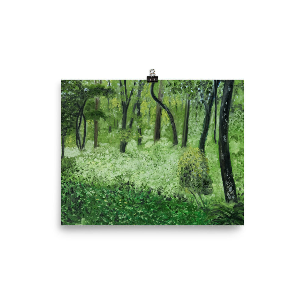 Landscape 24