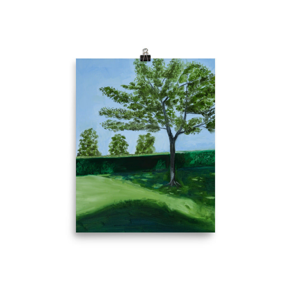 Landscape 28