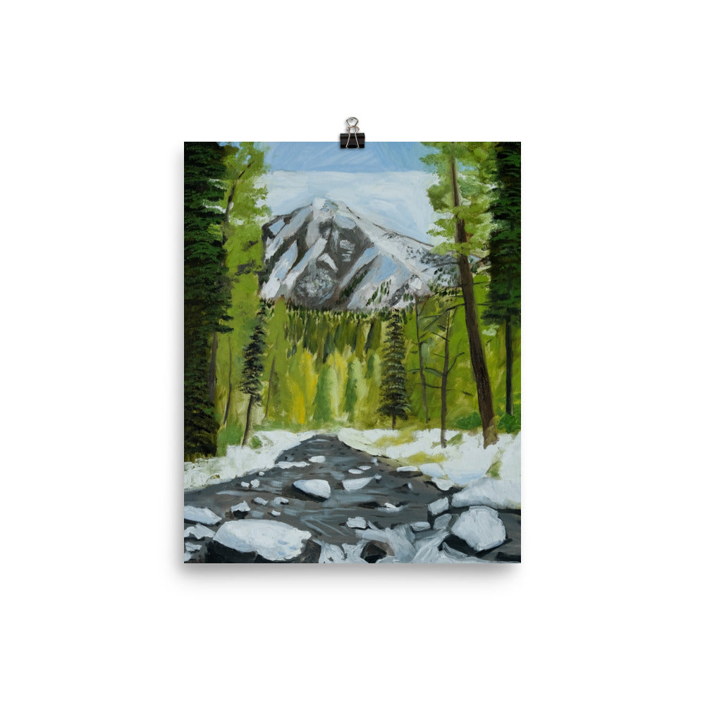 Landscape 29